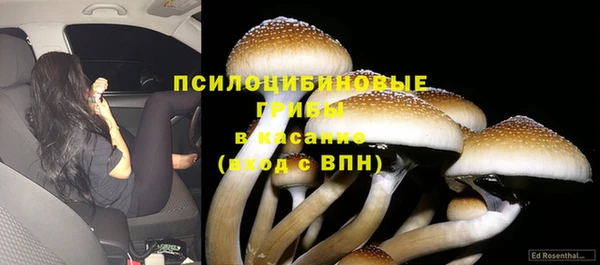 MESCALINE Гусиноозёрск