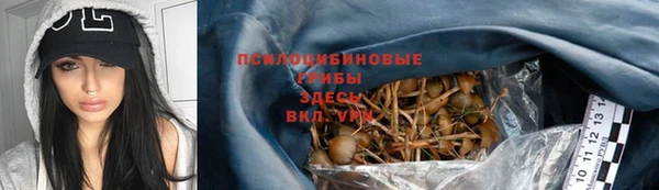 мескалин Гусев