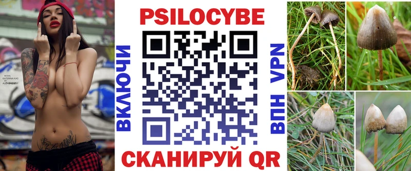 Псилоцибиновые грибы Psilocybine cubensis  наркошоп  Новомосковск 